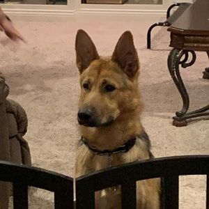 Meet your Posher, Becky